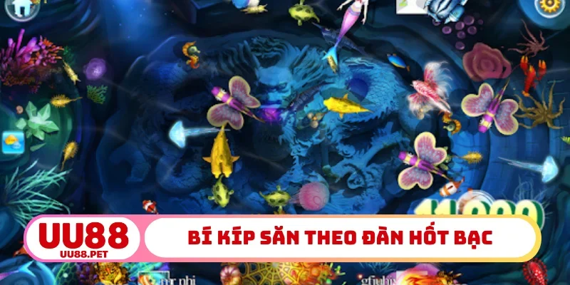 Bí kíp săn theo đàn hốt bạc