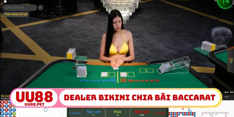 Dealer bikini chia bài Baccarat